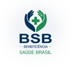 logo bsb home
