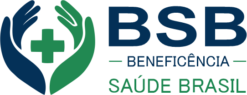 logo bsb.